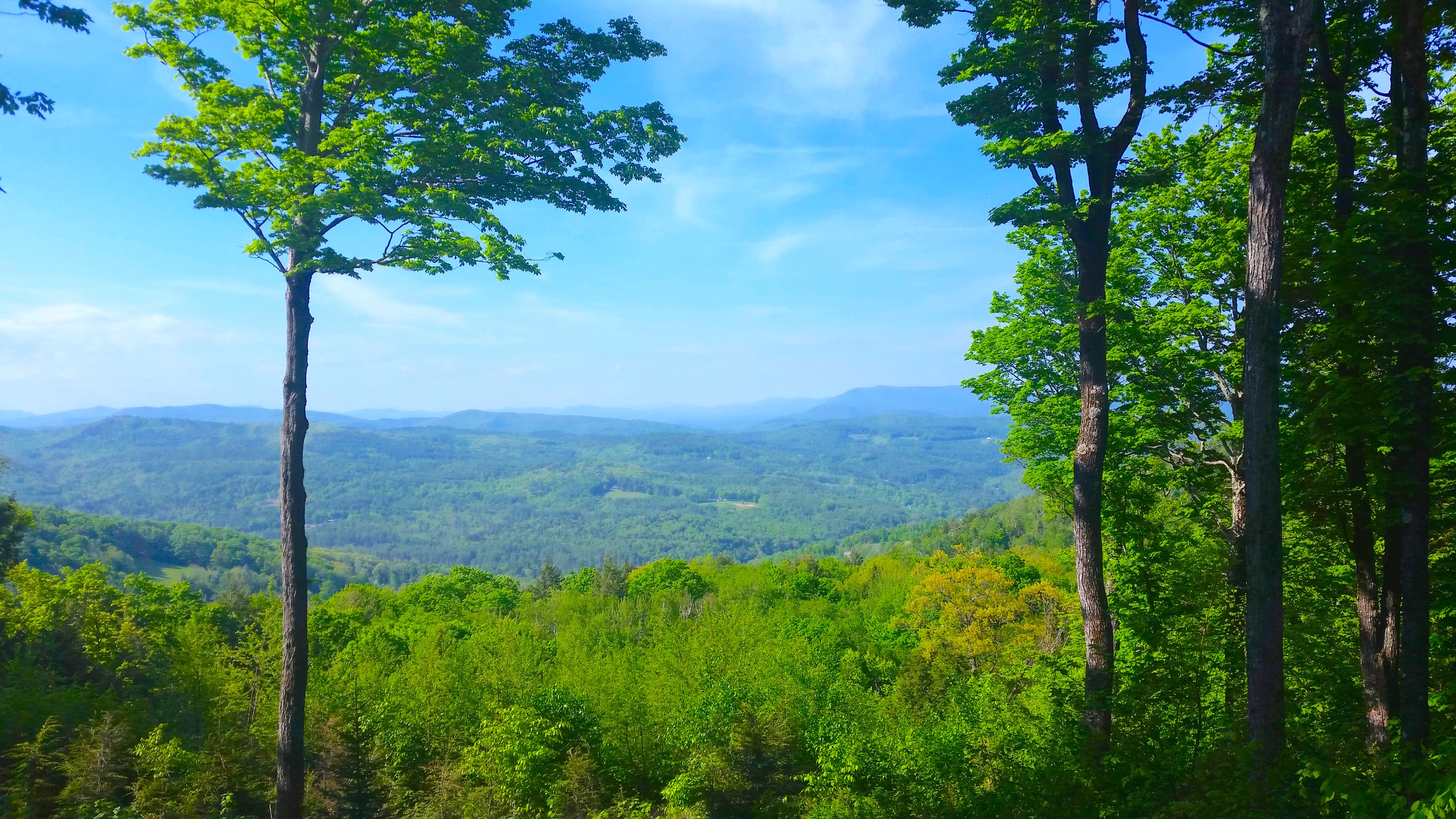 green_mountains.jpg